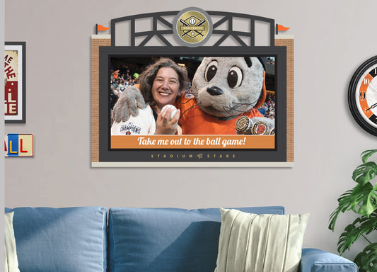 Pro Series photo message board